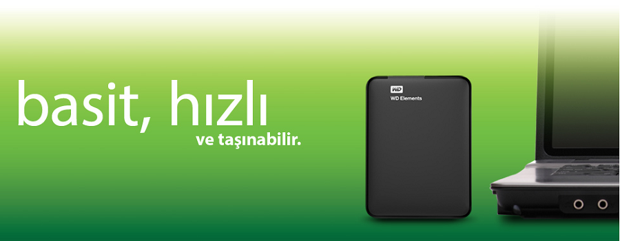 Western Dıgıtal 2 Tb 